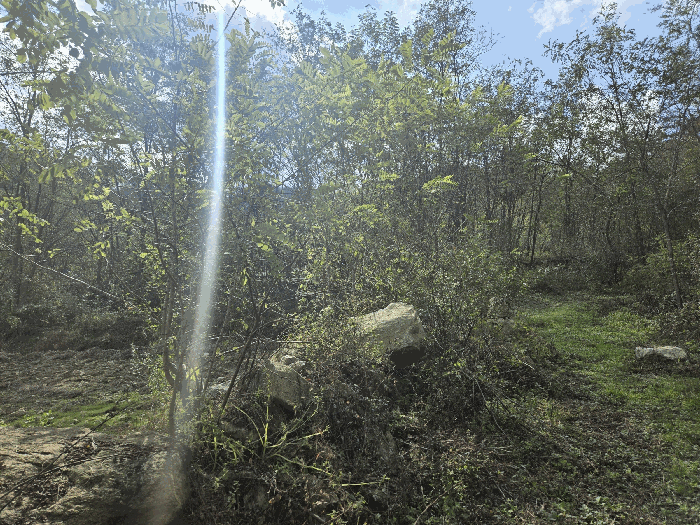 B000260202501300509614.jpg