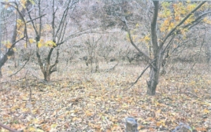 B000261202401300018653.jpg