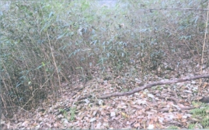 B000261202401300018654.jpg