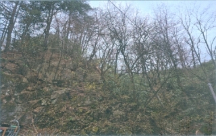 B000261202401300018652.jpg