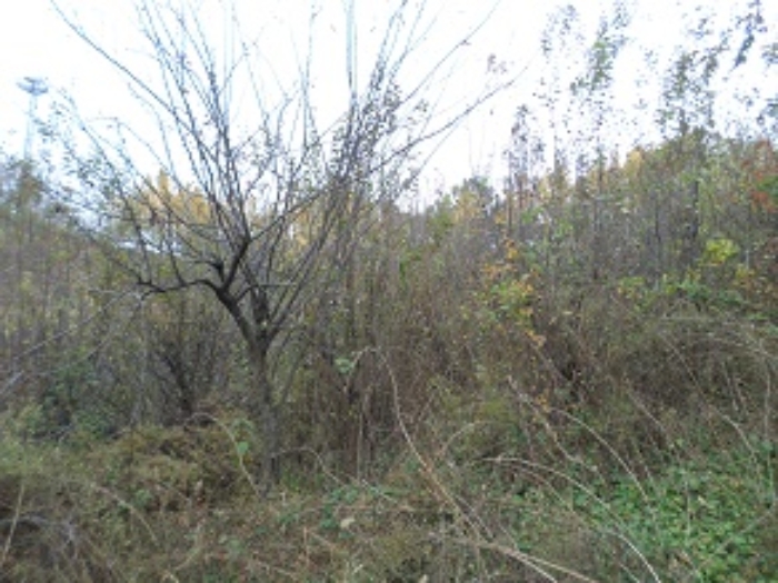B000262202301303052044.jpg