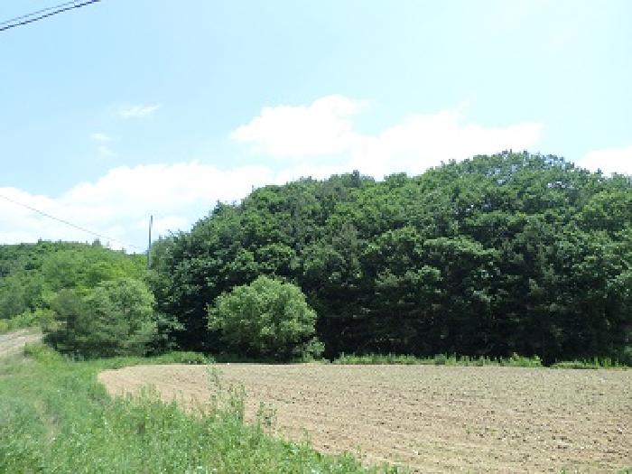 B000262202501300205212.jpg