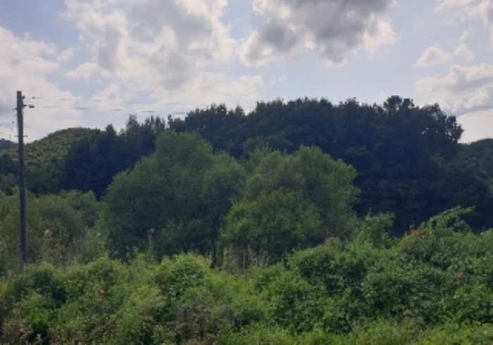 B000271202401300024522.jpg