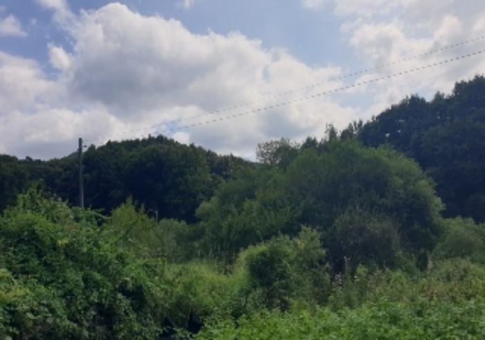 B000271202401300024523.jpg