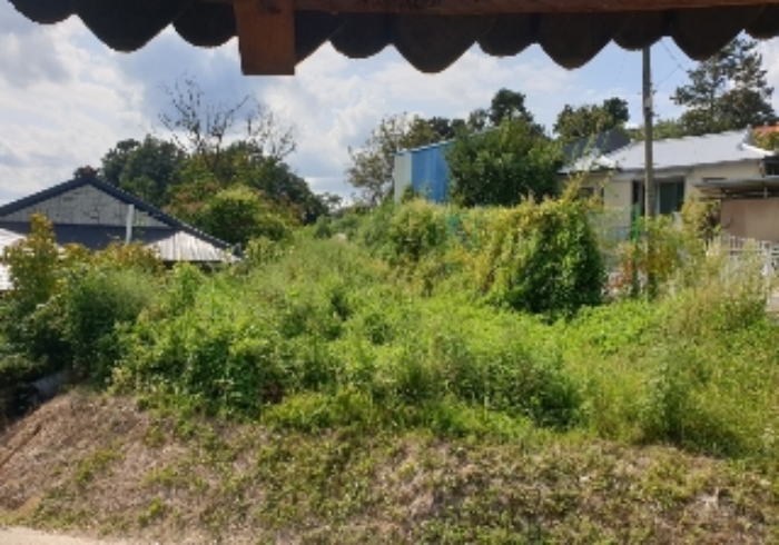 B000271202401300024524.jpg