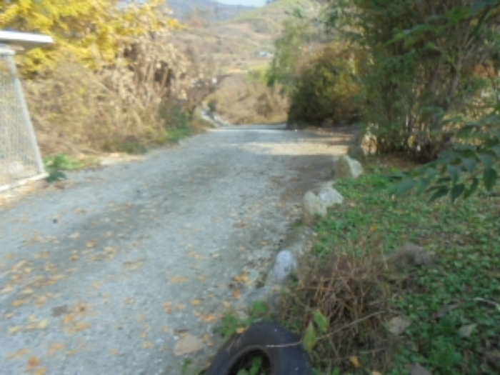 B000271202401300029262.jpg