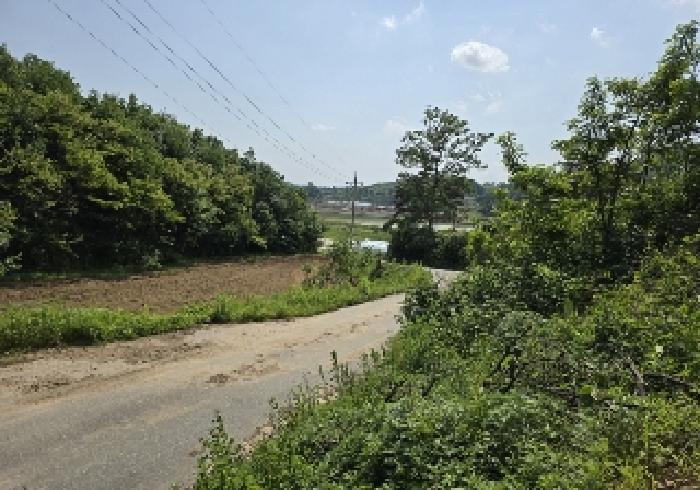 B000271202501300010052.jpg