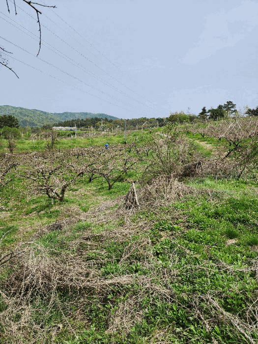 B0002712025013003049026.jpg