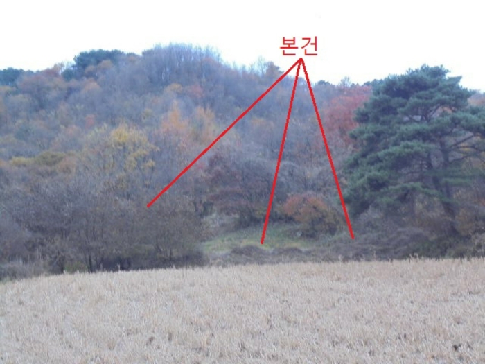 충청북도 제천시 백운면 원월리 254