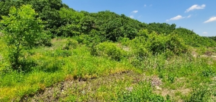 B000273202201300005024.jpg