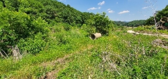 B000273202201300005023.jpg