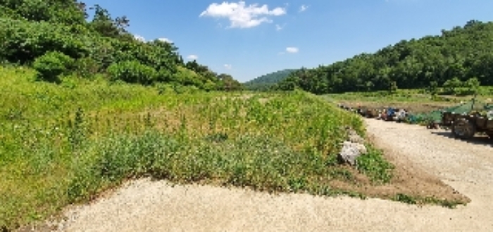 B000273202201300005021.jpg