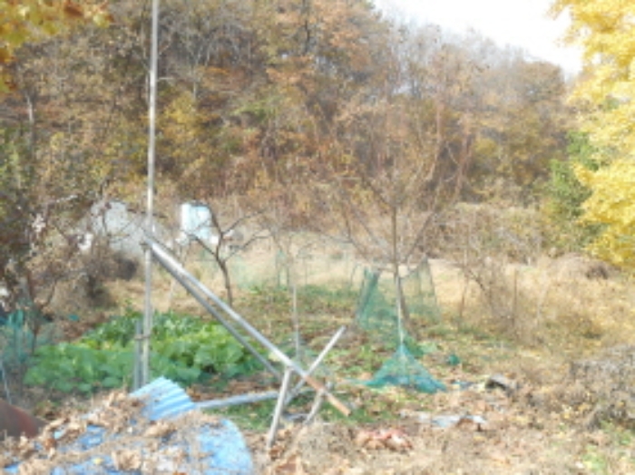B000280202401301217462.jpg