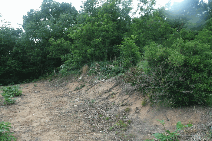 B000282202501300203269.jpg