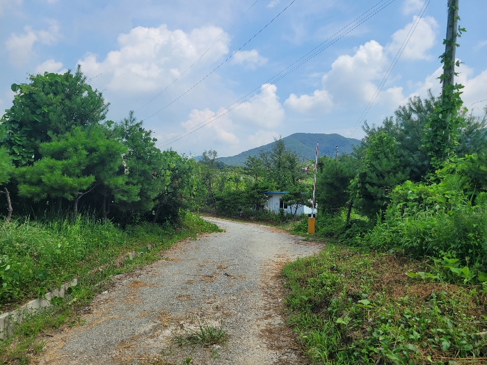 B0002842024013002157220.jpg