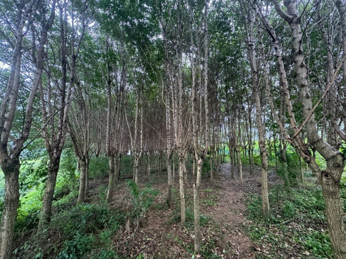B000284202401300217638.jpg