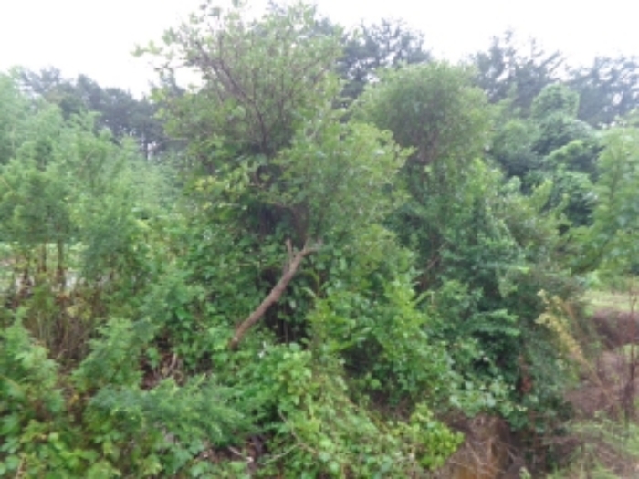 B000285202401300562742.jpg