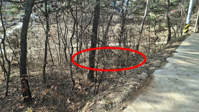 B000285202401300611156.jpg