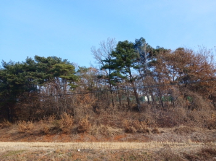 B000285202401300611151.jpg
