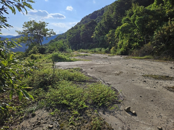 B0003102024013000849210.jpg
