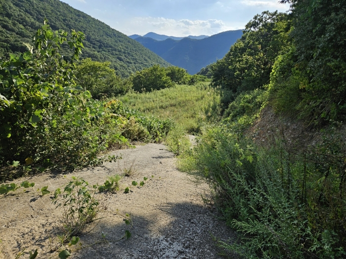 B000310202401300084929.jpg