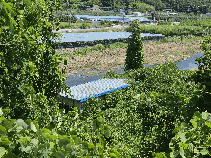 B000310202501300008926.jpg