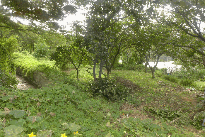 B0003102025013000892611.jpg