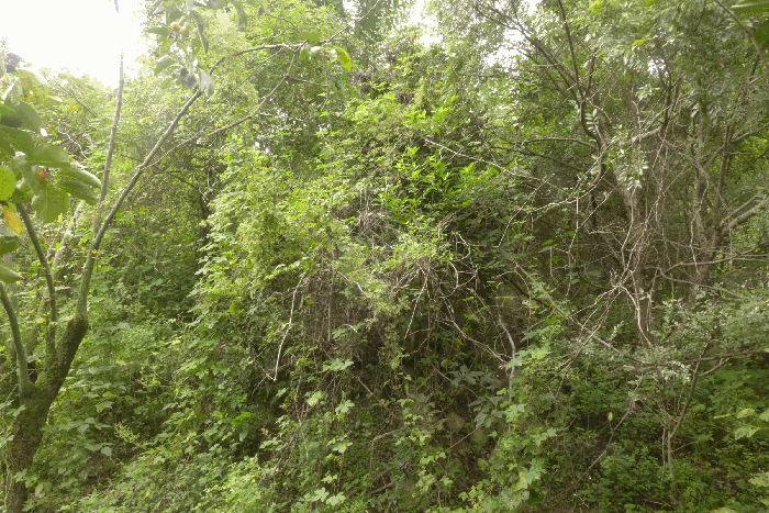B0003102025013000892613.jpg