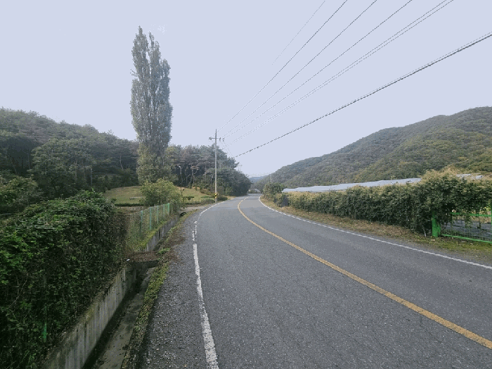 B000310202501300095419.jpg