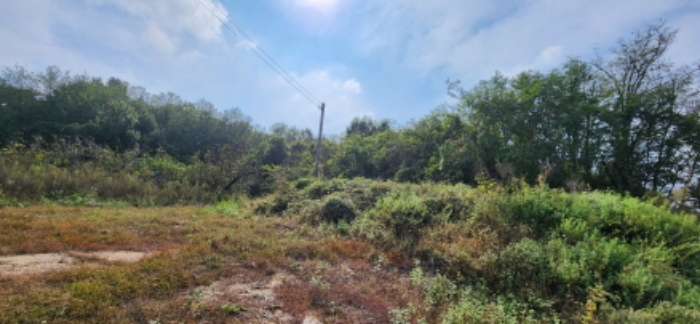 B000313202401300027074.jpg