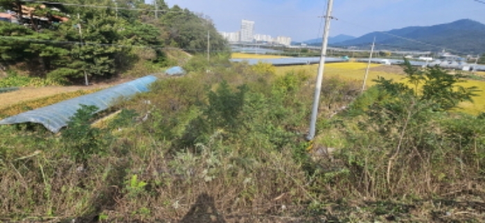B000313202401300027071.jpg