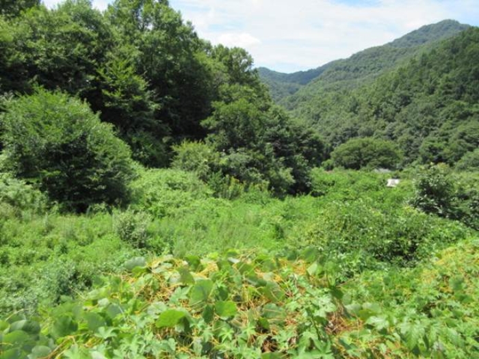 B000314202401300012714.jpg