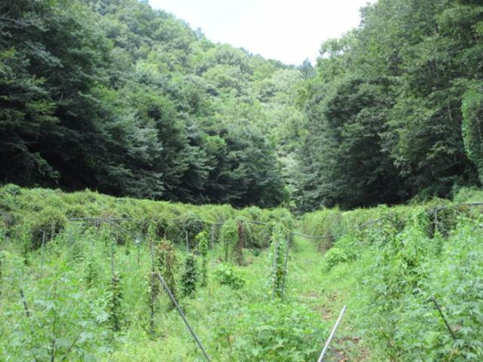 B000314202401300012711.jpg