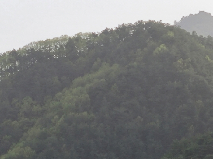 B000316202401300105303.jpg