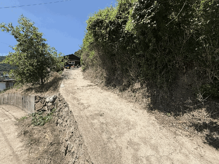 B000316202501300102661.jpg