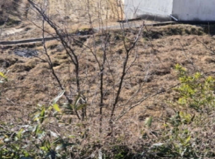 B000317202401300046511.jpg