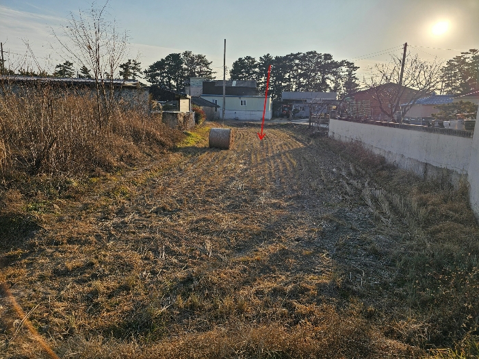 B000317202401300046516.jpg