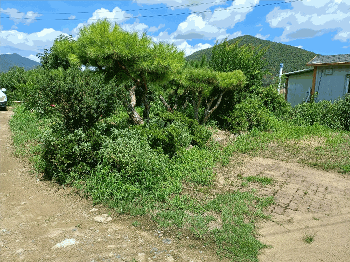 B0003172025013000045521.jpg
