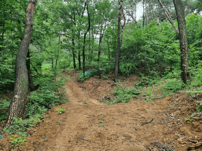 B000317202501300038194.jpg