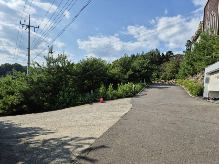 B000320202401300035176.jpg