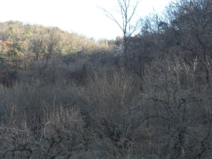 B000320202401300046641.jpg