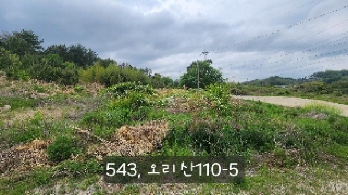 B000412202501300005434.jpg
