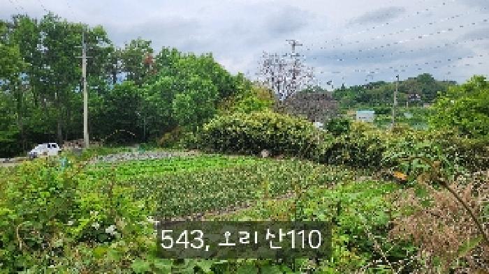 B000412202501300005431.jpg