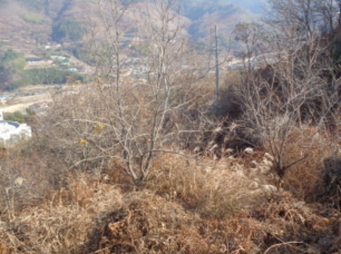 B0004212022013000523828.jpg