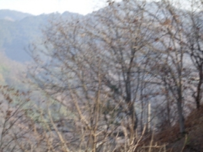 B0004212022013000523829.jpg