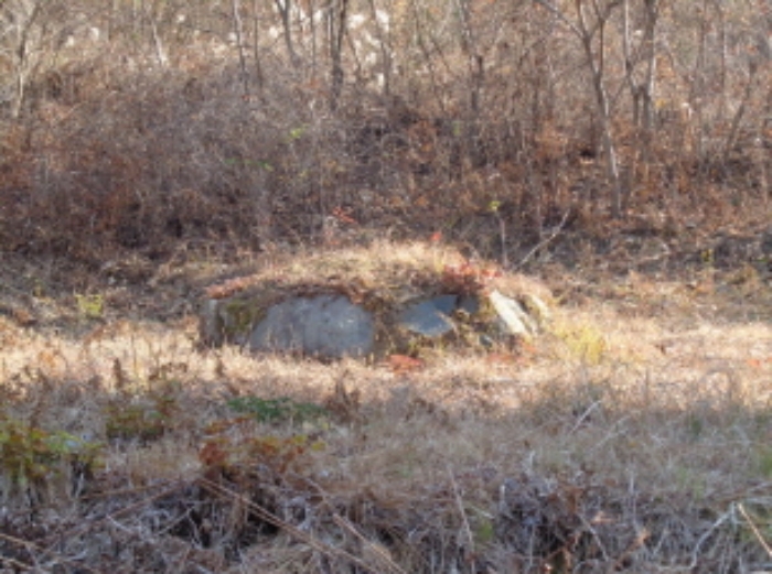 B0004212022013000523830.jpg