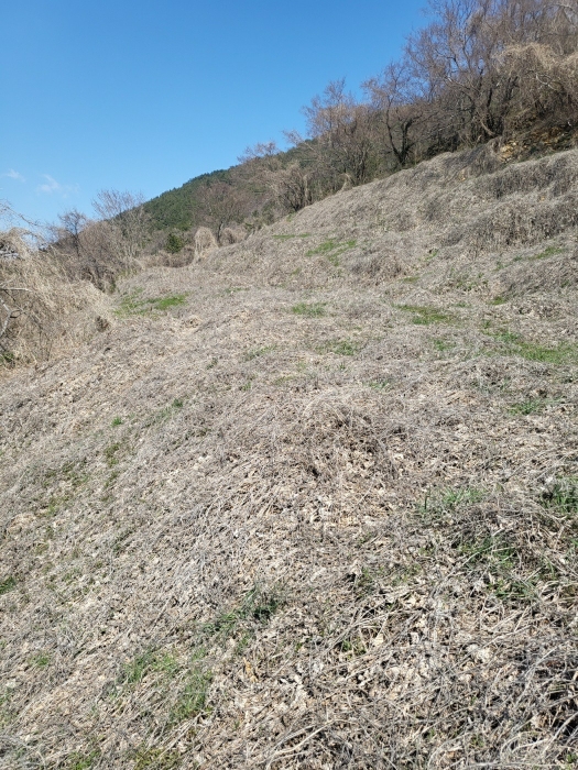 B000421202401300015997.jpg
