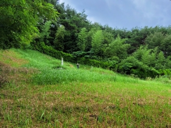 B000421202401300360381.jpg