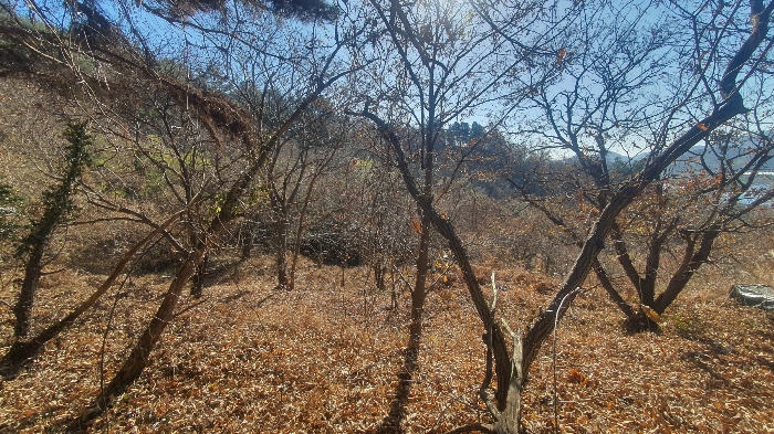 B0004212024013004021124.jpg