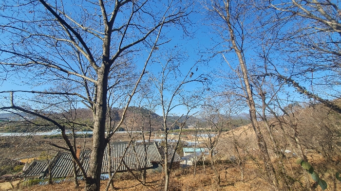 B0004212024013004021125.jpg